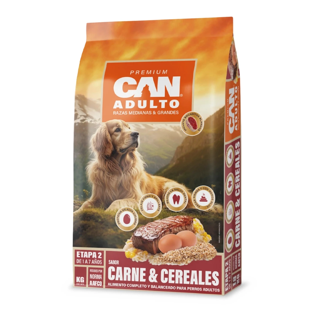 Can alimento seco