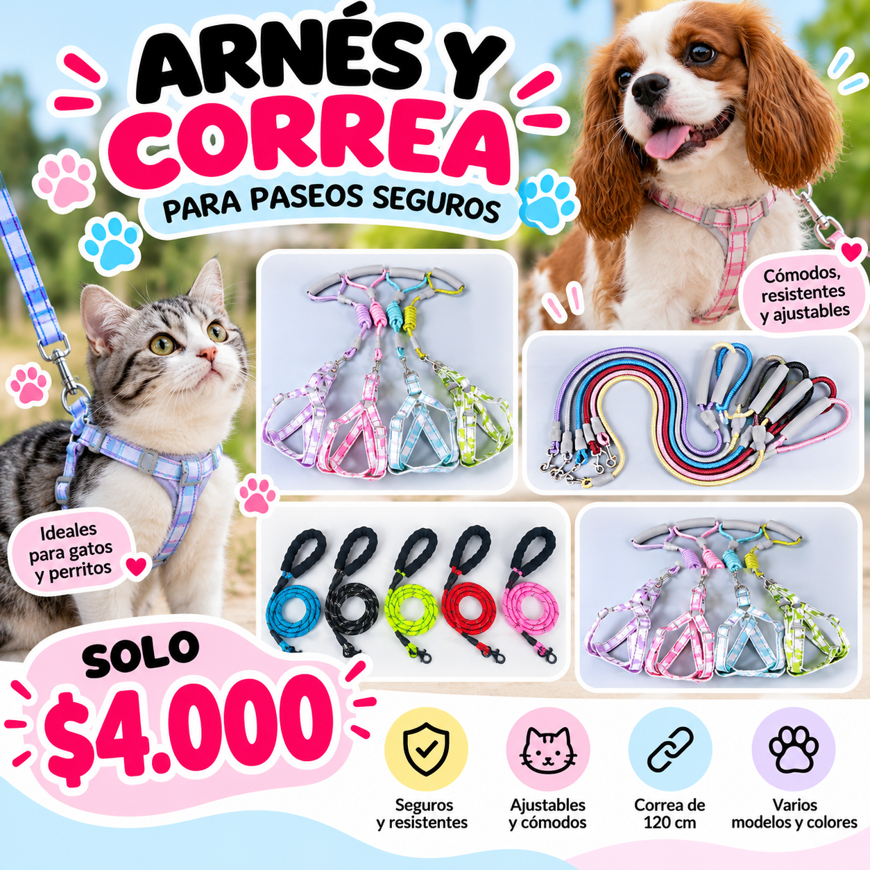 Arnés y correa para paseos seguros