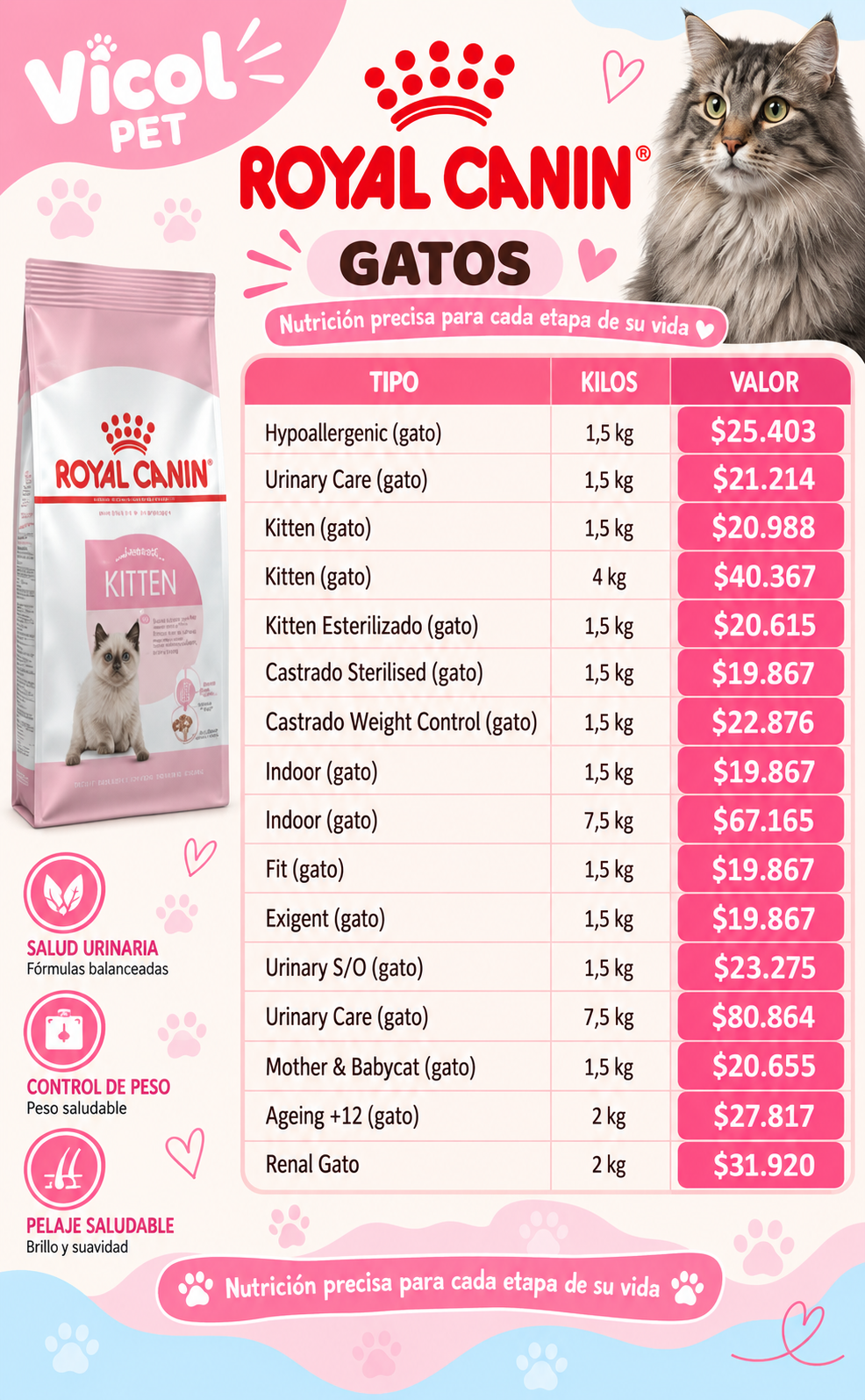 Royal Canin alimento para gatos