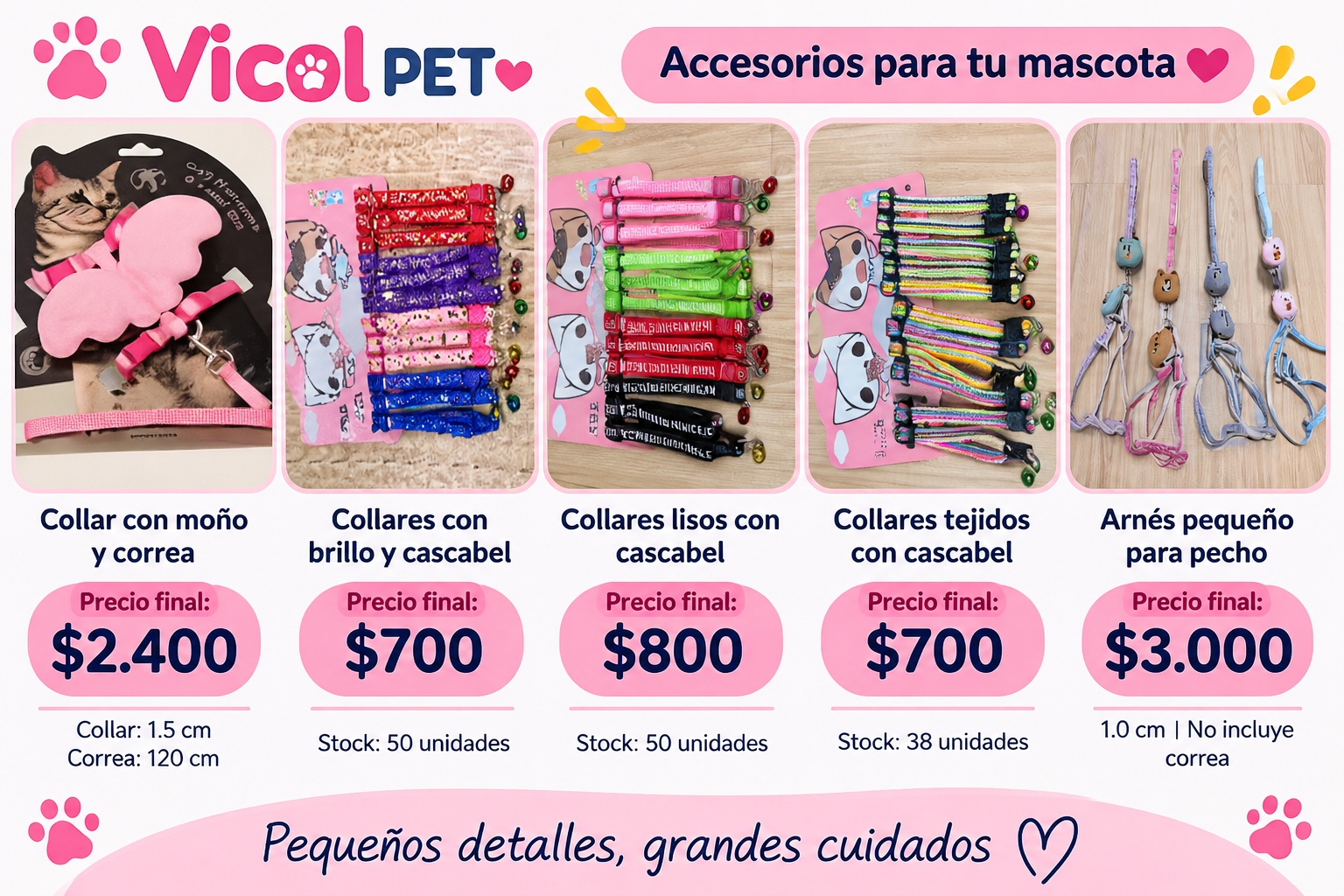 Collar con moño y correa
