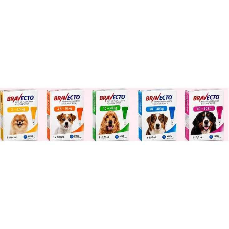 Bravecto Perros solución tópica