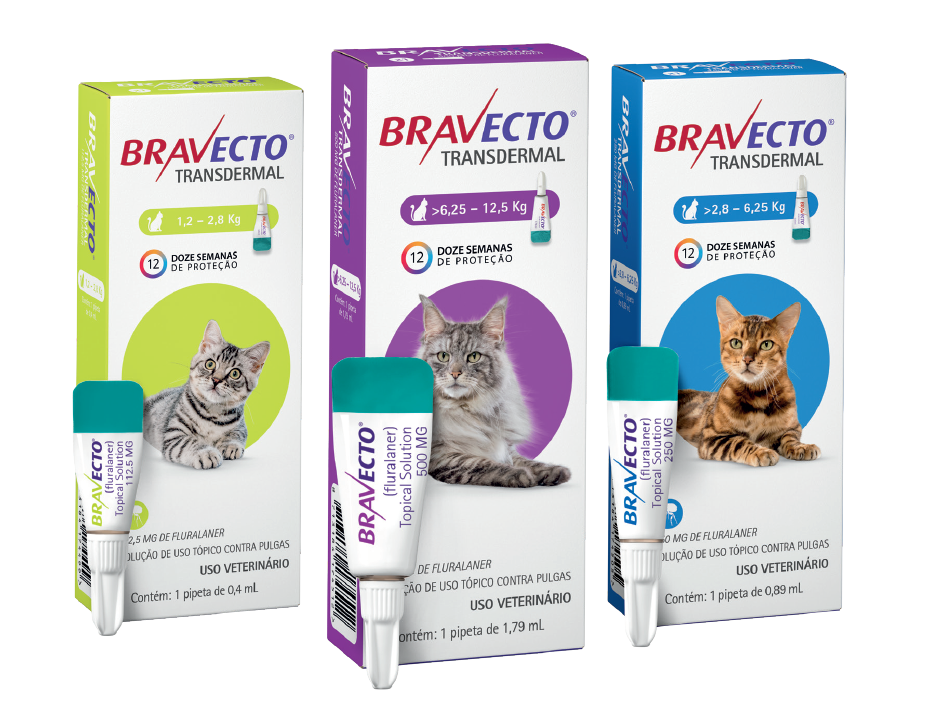Bravecto Gatos