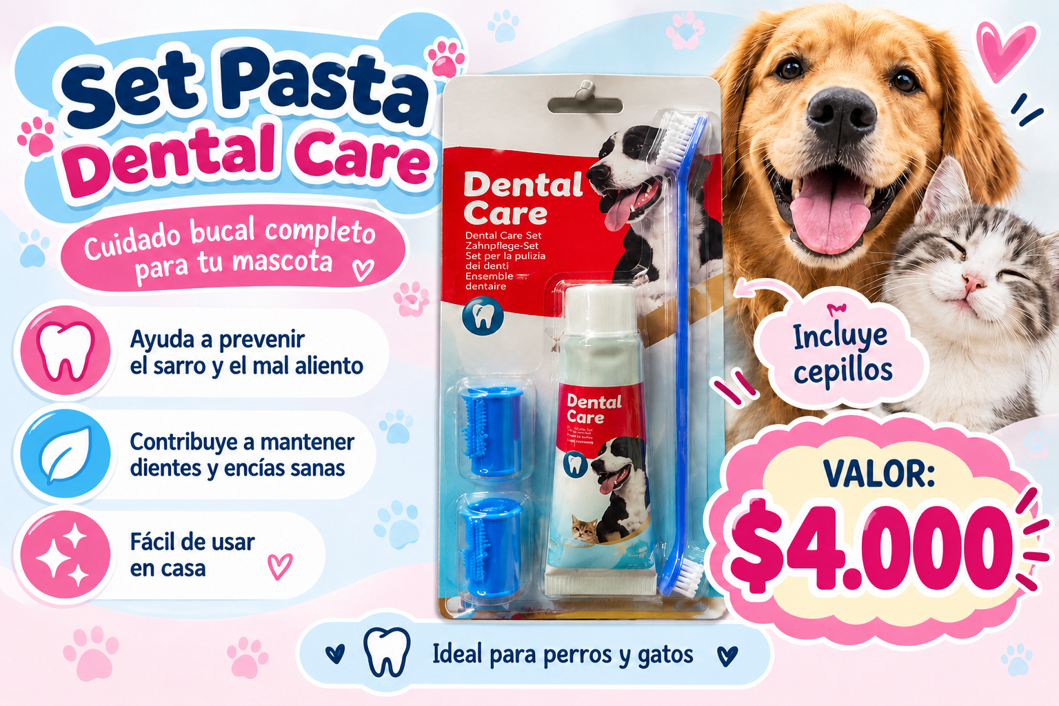 Set pasta dental Dental Care