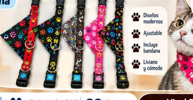 Collar con bandana