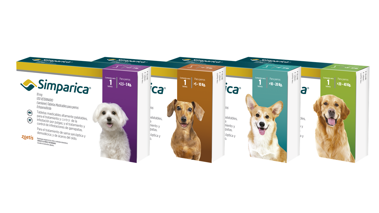 Simparica comprimido para perros