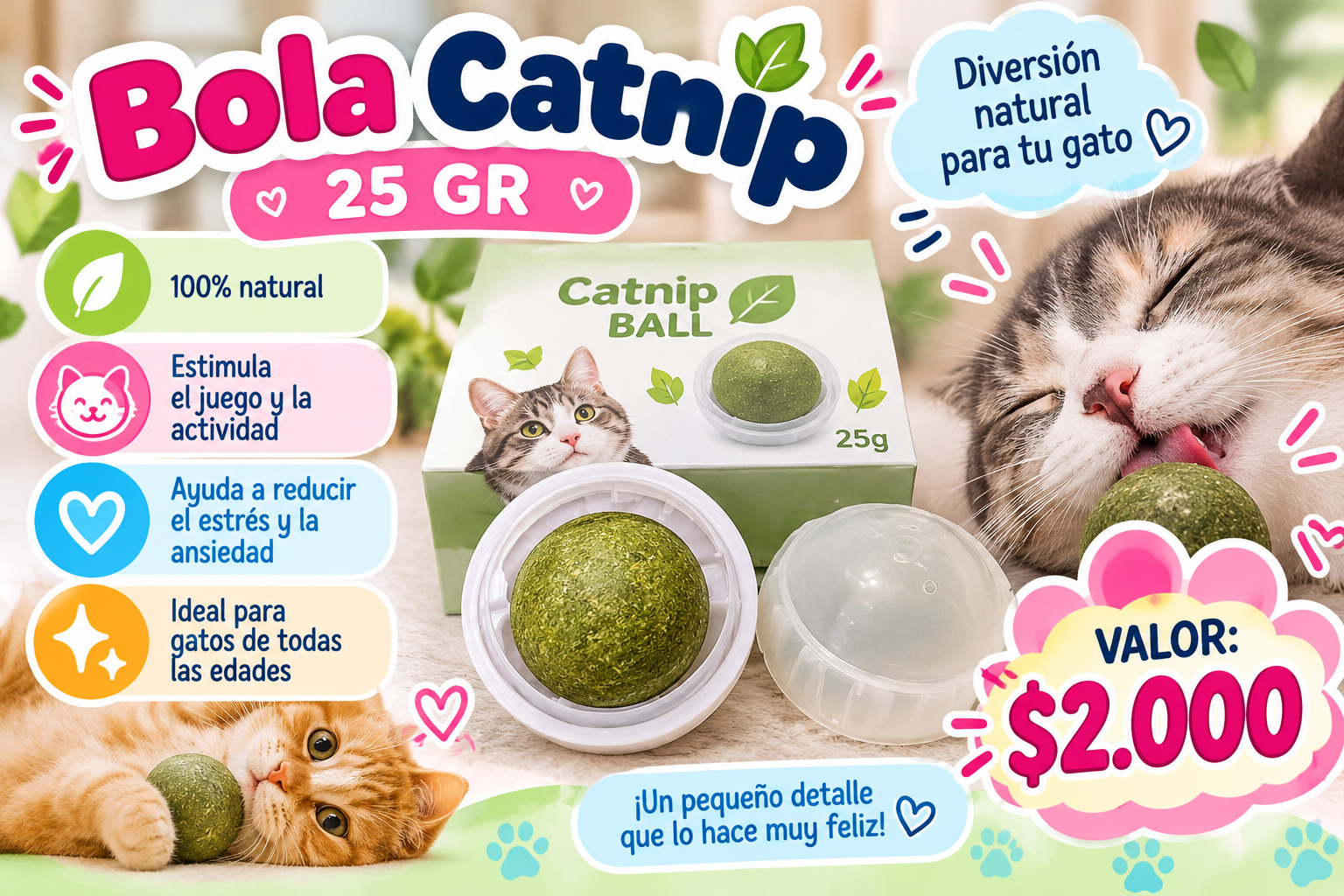 Bola de catnip 25 g
